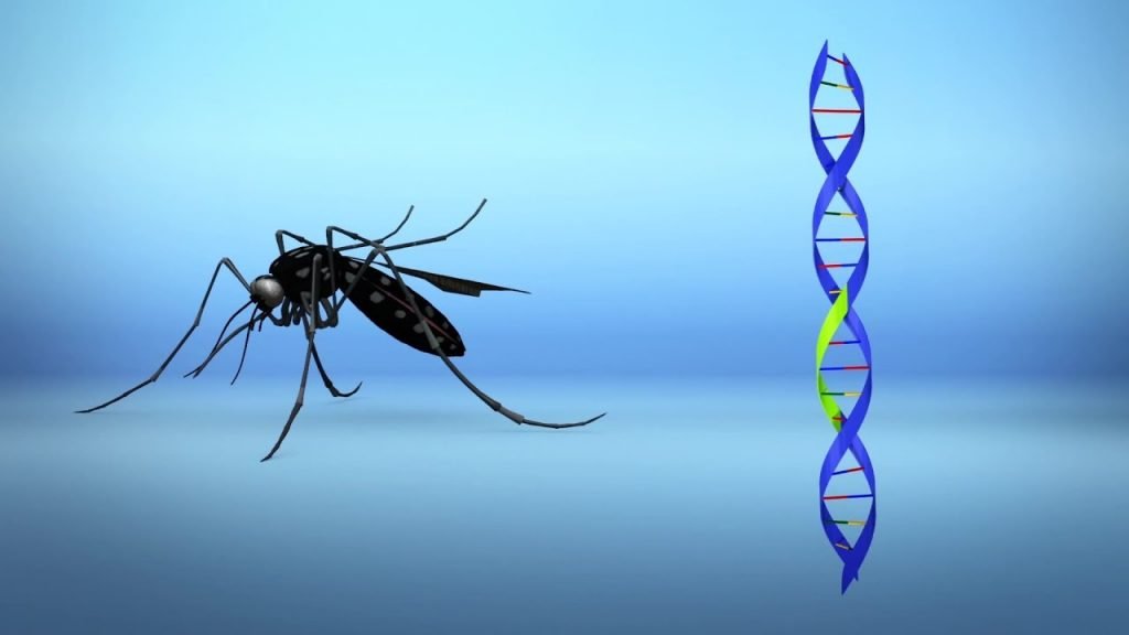 Genetic Modification And The Risk Of Pathogen Or Vector-Borne Disease ...