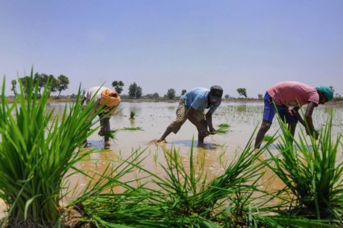 Climate Change And Its Impact On Indian Agriculture