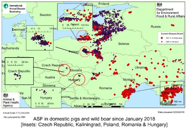 African Swine Fever in Eastern Europe